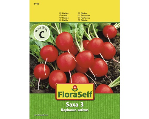 Floraself ridichi ‘Saxa 3‘