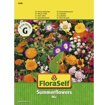 Floraself mix flori de vară-thumb-0
