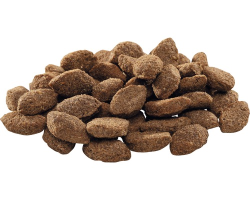 Grămadă de hrană uscată pentru câini