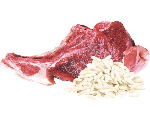 Cotlet de miel cu orez