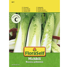 FloraSelf semințe de varză chinezească Michihili F1-thumb-0