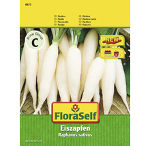 FloraSelf semințe de ridichi albe-thumb-0