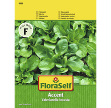 FloraSelf semințe de salată Accent-thumb-0