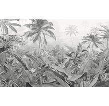 Pădure tropicală ca model de tapet cu palmieri și frunze mari