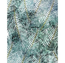 Fototapet vlies P025-VD2 Palm Canopy 200x250 cm