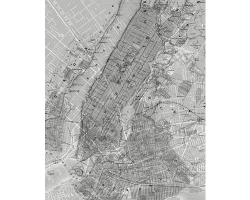Fototapet vlies P033-VD2 NYC Map 200x250 cm