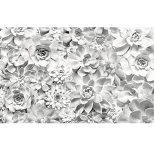 Fototapet vlies P962-VD4 Pure Shades Black and White 400x250 cm