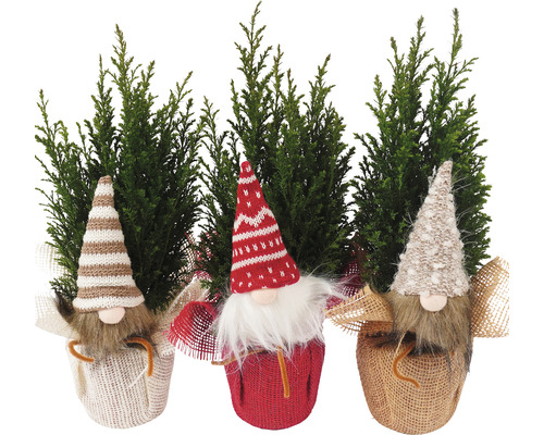 Trei pitici de Crăciun cu chiparoși, căciuli și corpuri din material textil