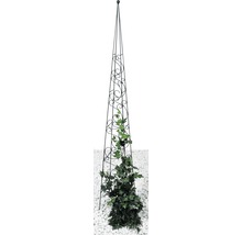 Coloană metalică pentru plante cu plantă cățărătoare