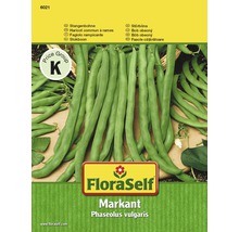 FloraSelf semințe de fasole urcătoare Markant-thumb-0