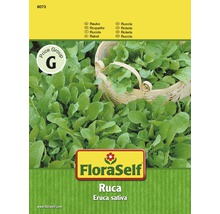 FloraSelf semințe de salată rucola Ruca-thumb-1