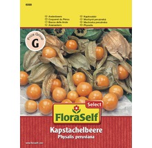 FloraSelf semințe de cătină incașă-thumb-0