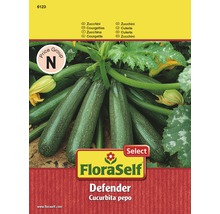 FloraSelf semințe de dovlecei verzi Defender-thumb-0