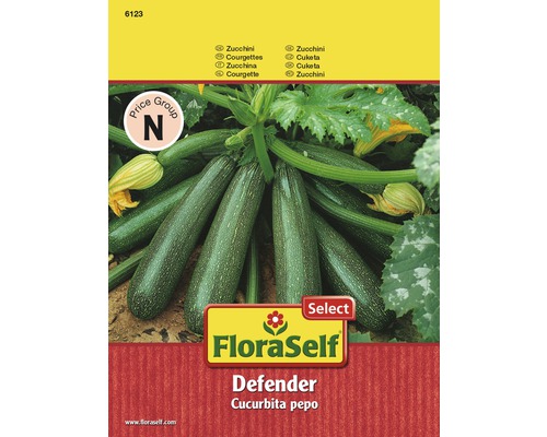 FloraSelf semințe de dovlecei verzi Defender