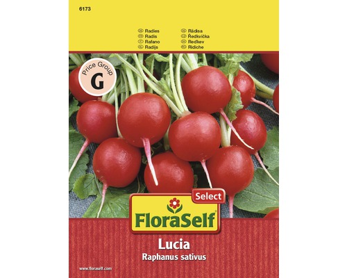 FloraSelf semințe de ridichi Lucia