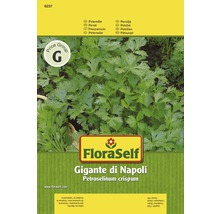 FloraSelf semințe de pătrunjel Gigante di Napoli-thumb-0