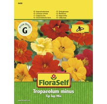 FloraSelf semințe de conduraș Tip Top Mix-thumb-0