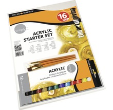Set de inițiere acrilice Daler Rowney cu vopsele, pânze și pensule