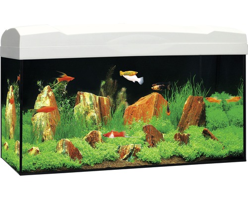Set acvariu Marina LED, 54 l, 60x30x30 cm, cu filtru intern, iluminare LED, dispozitiv de incălzire, învelitoare, hrană incluse