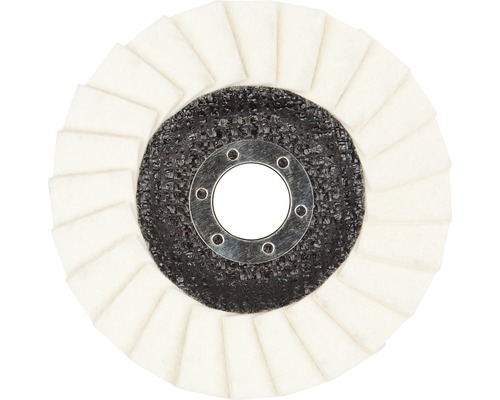 Disc lamelar pentru lustruit Wolfcraft Ø115x22,23 mm, din | HORNBACH