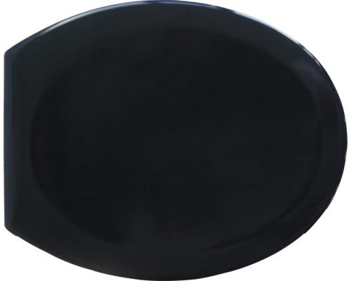 Capac de toaletă din plastic