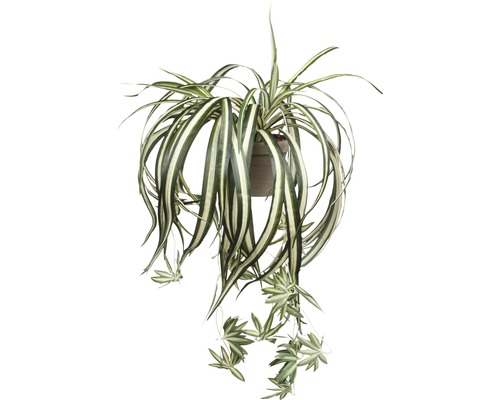 Plantă artificială, Chlorophytum, verde-0