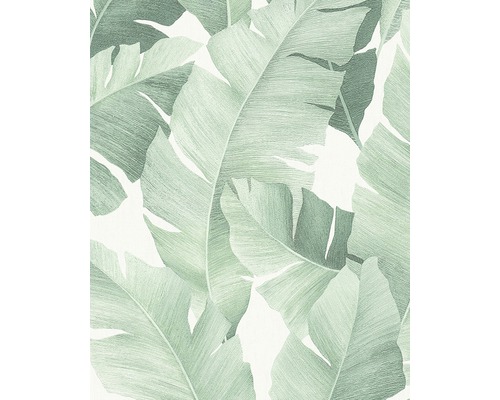 Tapet vlies 31650 Avalon model frunze alb-verde 10,05x0,53 m Tapet cu model de frunze