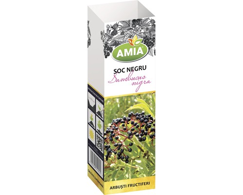Ambalaj plantă de soc negru
