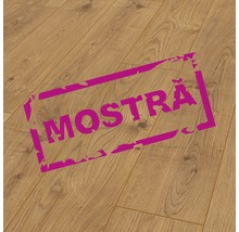 Mostră pentru produsul numărul 8753032-thumb-0 Mostră pentru produsul numărul 8753032-thumb-0