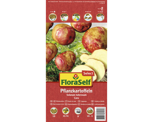 Cartofi de sămânță FloraSelf Select Cara 10 buc.