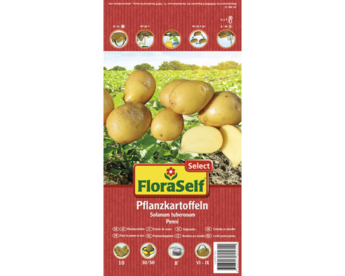 Cartofi de sămânță FloraSelf Select Penni 10 buc.