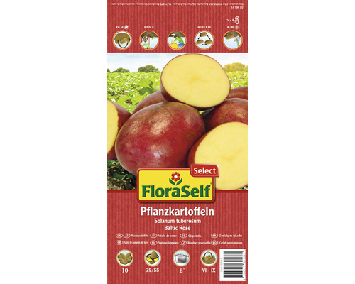 Cartofi de sămânță FloraSelf Select Baltic Rose 10 buc.