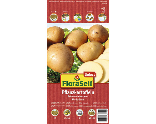 Cartofi de sămânță FloraSelf Select Up-to-Date 10 buc.