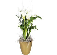 Cale în ghiveci cu ramuri decorative