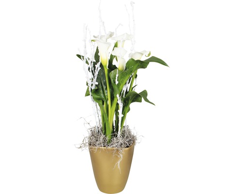 Cale în ghiveci cu ramuri decorative