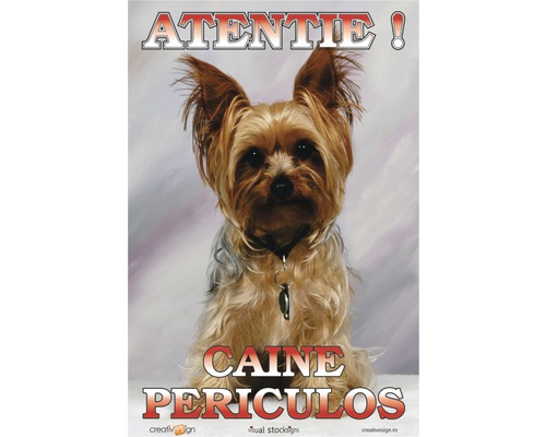 Afiș de avertizare câine periculos