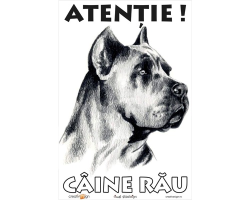 Panou de avertizare cu imaginea unui câine și textul Atenție câine rău