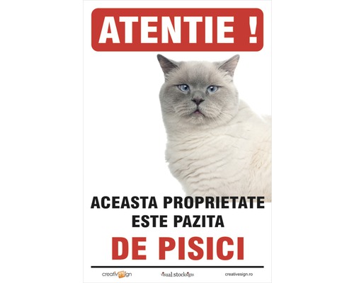 Atenție! Această proprietate este păzită de un semn de pisici.