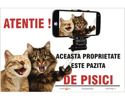 Atenție! Această proprietate este păzită de pisici