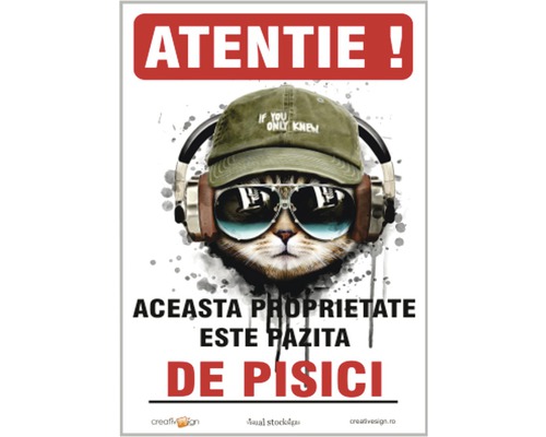 Panou de avertizare cu o pisică cu căști, ochelari de soare și șapcă