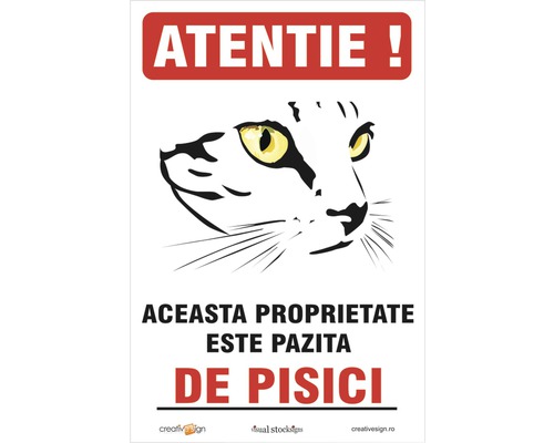 Avertisment: Atenție, această proprietate este păzită de pisici.