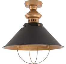 Lumină de plafon din metal cu cușcă