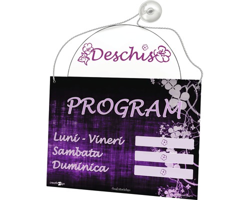 Indicator deschis cu textul Program, pentru indicarea orelor de funcționare