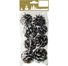 Pachet cu conuri de pin pentru decorare