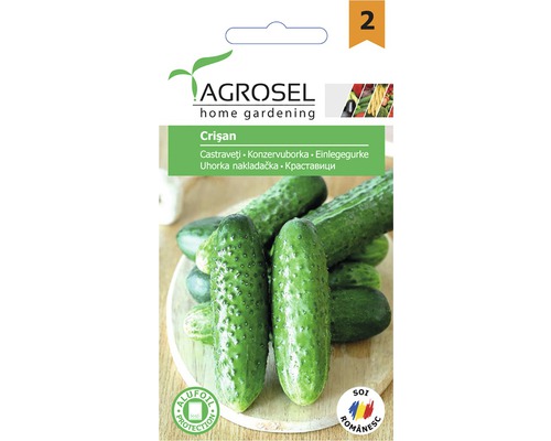 Semințe legume Agrosel castraveți Crișan PG2