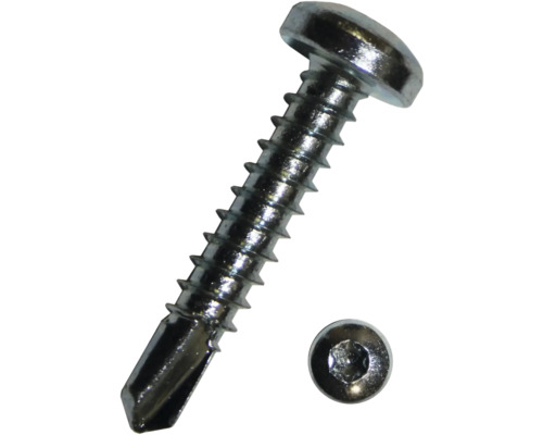 Holșuruburi autoforante cu cap bombat Torx Dresselhaus 4,8x19 mm DIN7504 oțel zincat, 100 bucăți