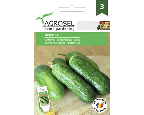 Semințe legume Agrosel castraveți Metex PG3 la bandă