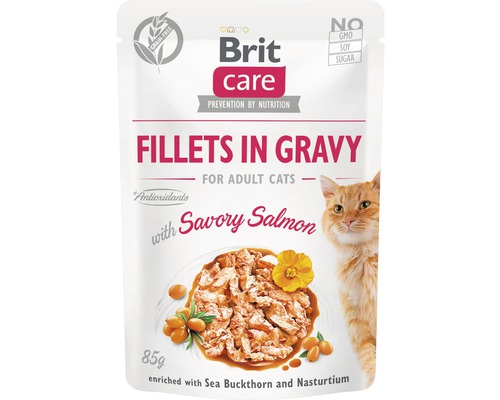 Hrană umedă pentru pisici Brit Care Adult file somon în sos 85 g-0