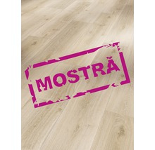 Mostră de pardoseală din lemn deschis la culoare