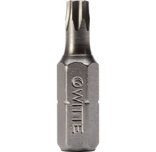 Bit Torx